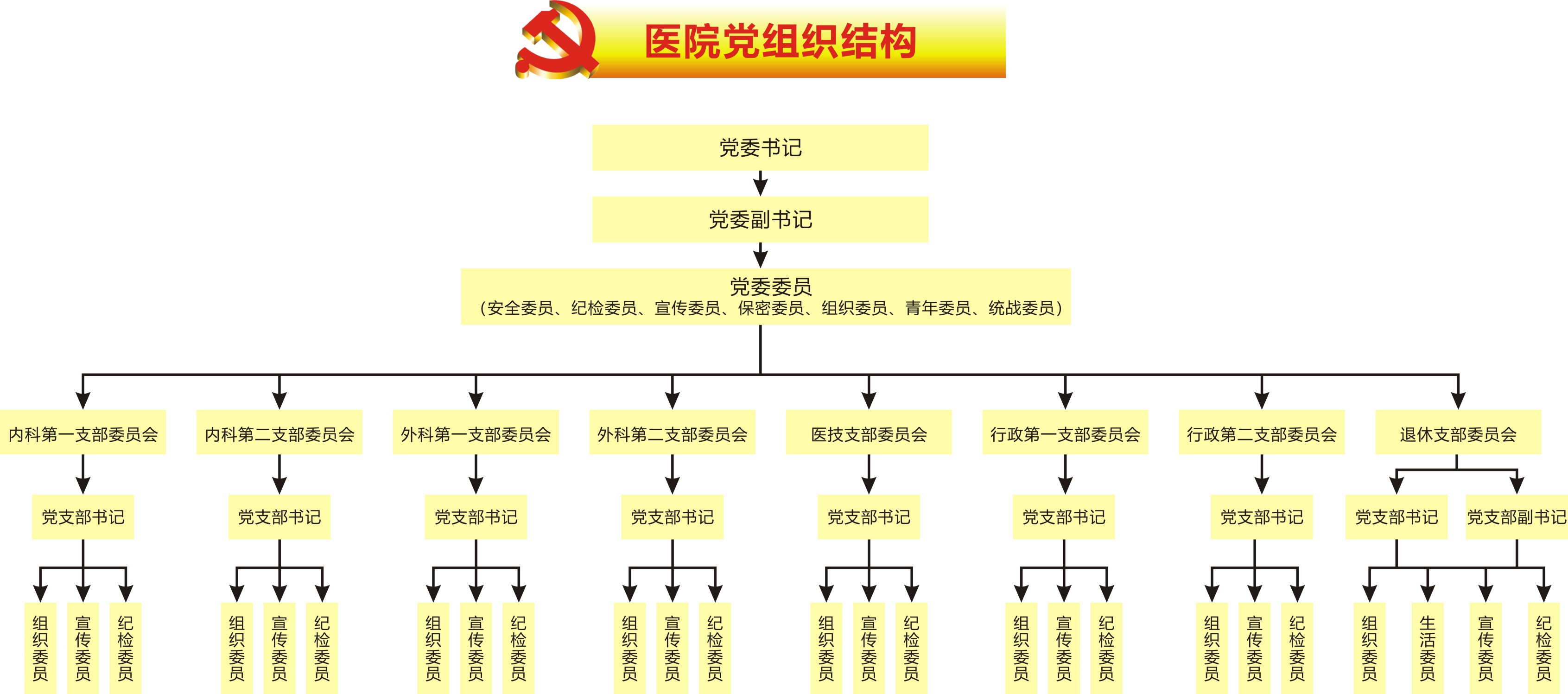 医院党组织结构