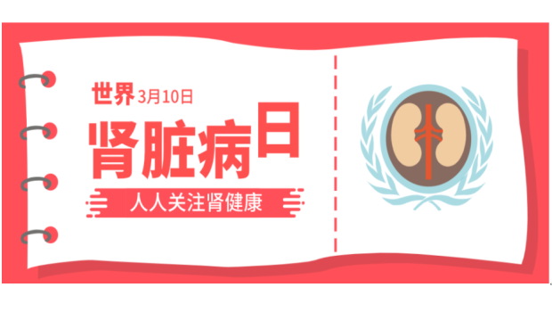 世界肾脏日