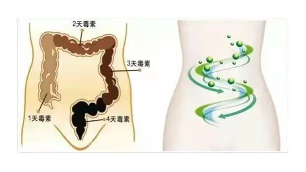 结肠水疗，助你肠“轻”