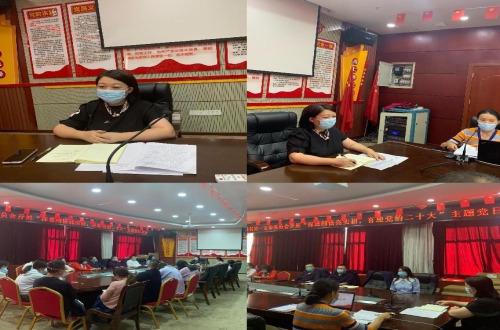 我支部开展“深思细悟亮实招喜迎党的二十大”主题党日活动