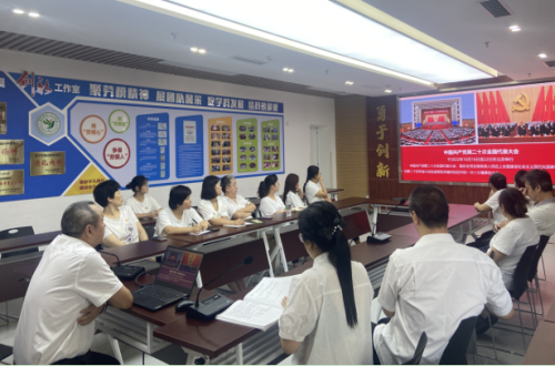 党委委员讲党课